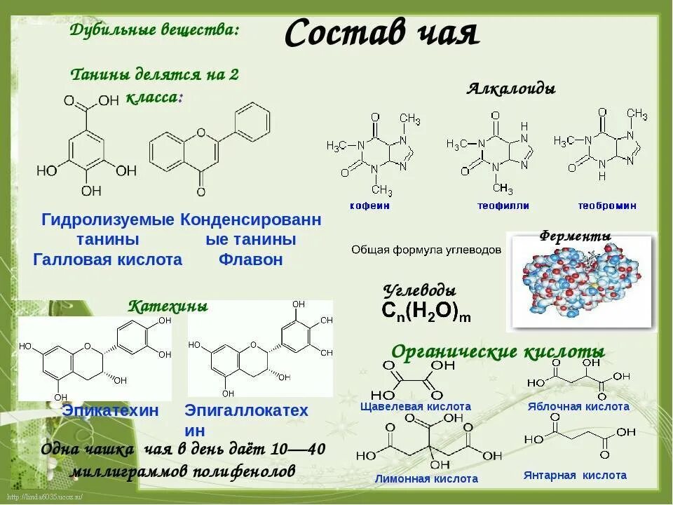 Ление состав. Химическая формула чая. Химическая формула чая черного. Формула чая химическая формула. Дубильные вещества химическая формула.