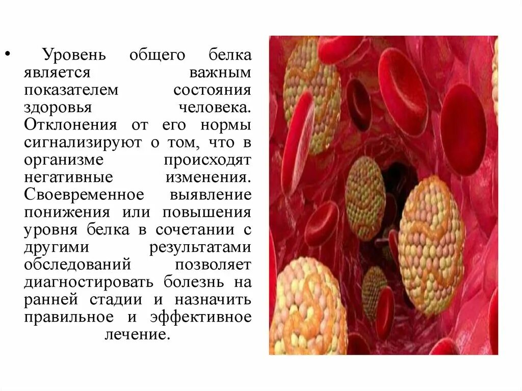 Повышенный уровень белка. Белок в крови. Уровень белка в организме. Уровни белка. Общий белок отклонение от нормы.