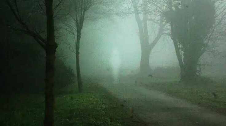 Mysterious video. Mysterious video