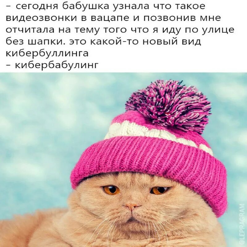 Шапку одень прикол. Шапка лежит. Шапка надо. Шапка надо. Шапка вопросов.