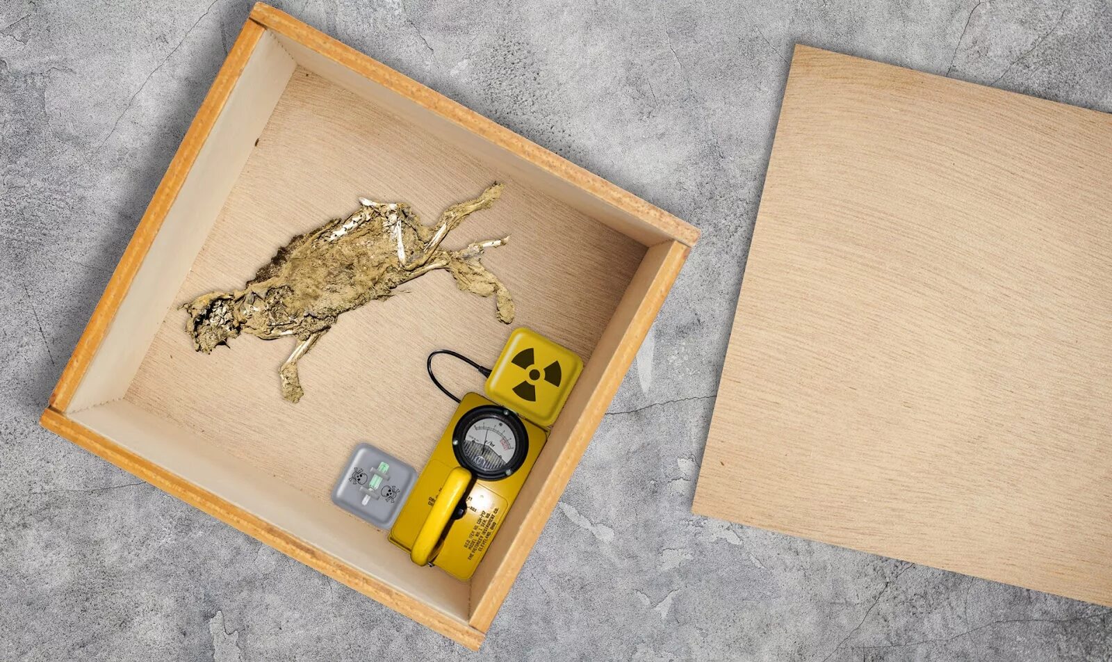 квест-шкатулка рундук дэви джонса. квест-шкатулка криптекс blackwood. квест-шкатулка кот шредингера. группа кот шрёдингера. квест бокс кот шредингера.