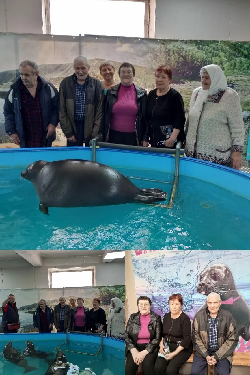 Шоу морских котиков во владимире