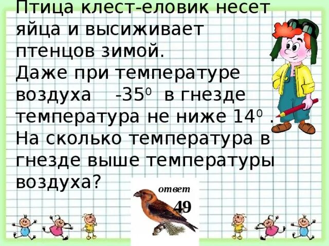 Задача на зиму семья. Птица клест еловик несет яйца и высиживает птенцов зимой задача. задача о клестах 1 класс.