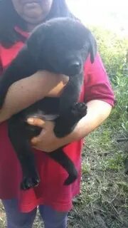 Чтоб концы своих владений охранять от нападений