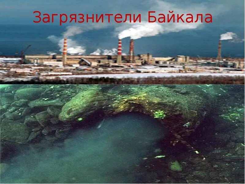 Проблема загрязнения байкала. Загрязненный байкал. загрязнение байкала. загрязненное озеро байкал. загрязнение вод байкала.
