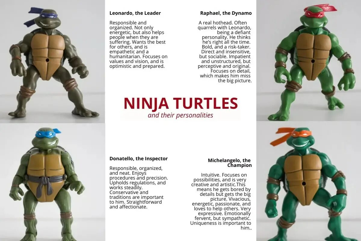 Turtle name
