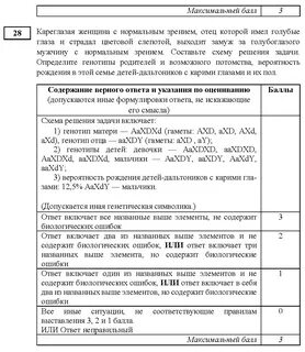 Задания по биологии 2020