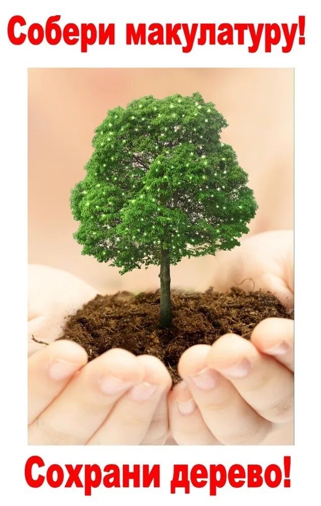 Охрана окружающей среды. Экологическая акция ладонь дерево. Собери макулатуру сохрани дерево. Экология. Сохрани жизнь дереву.