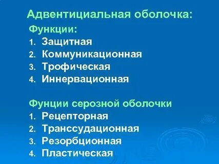 Адвентициальная оболочка