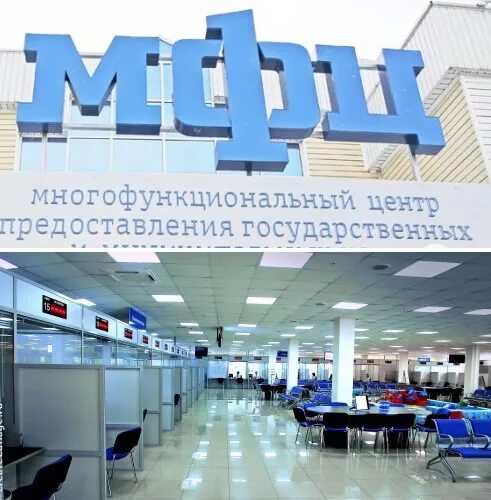 мфц получение выписки