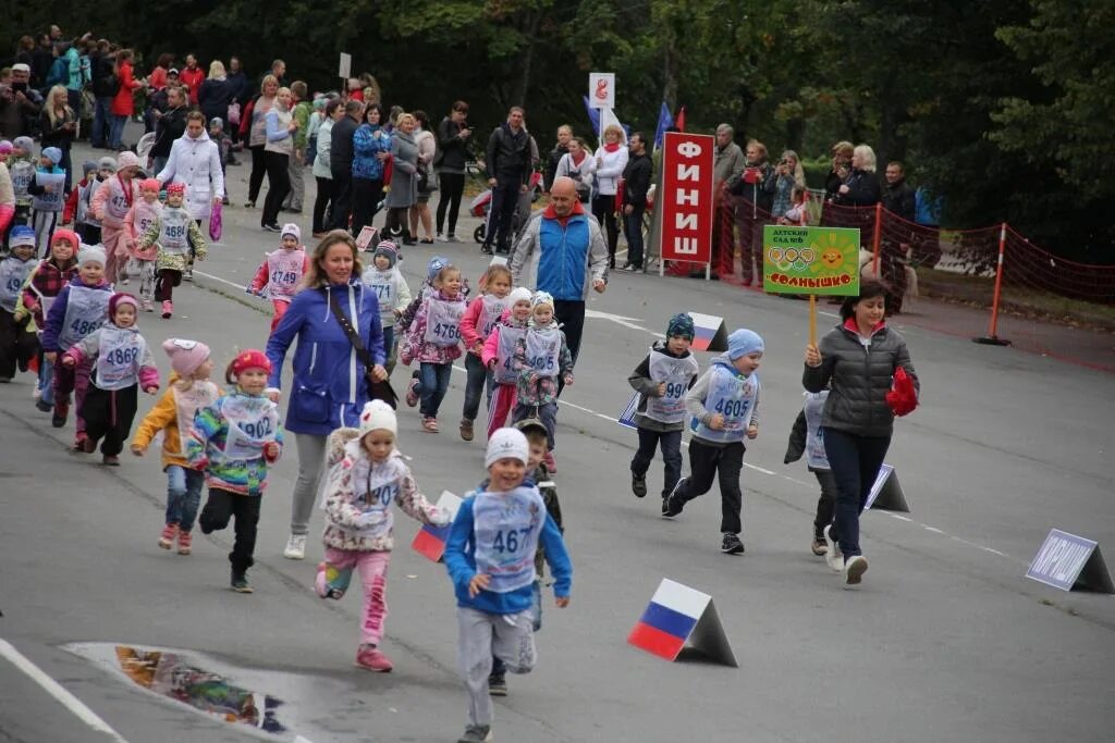 вакансии в киришах на сегодняшний день