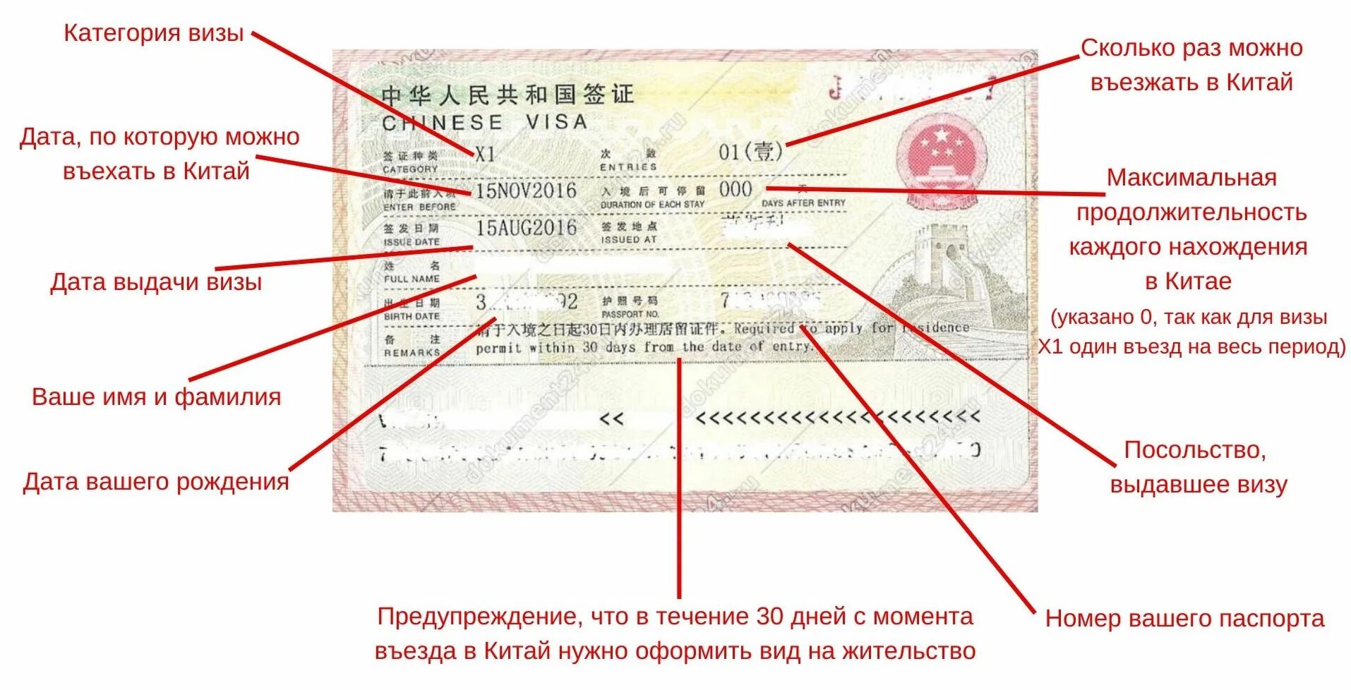 Идентификатор гражданина что это. Виза в Китай. Номер Бланка визы. Виза учебная в Китай для россиян. Категории виз.