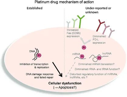 Mechanism of action