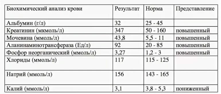 Повышен анализ креатинина что это значит. Хлориды в крови норма у женщин. Хлор в крови норма у детей. Показатели крови натрий хлориды. Нормы показателя фосфора в крови.