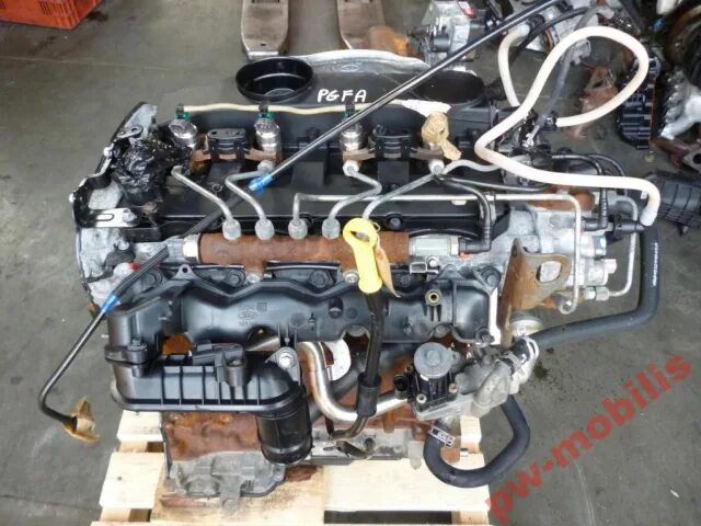 2. Двигатель ford transit 2. Мотор форд транзит 2. Двс форд транзит 2. Мотор форд транзит 2.