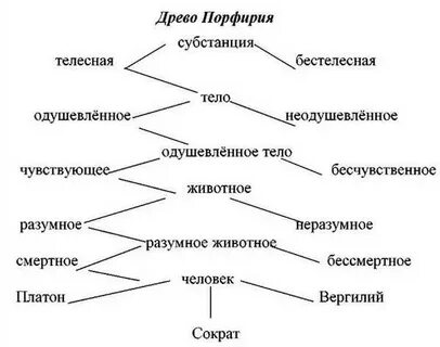 Дерево образования слова