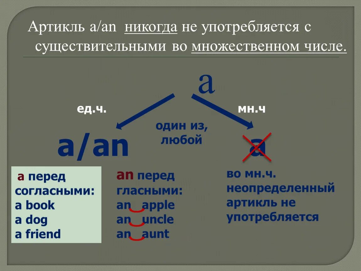 Ocean артикль. A И the перед существительным во множественном числе в английском языке. Артикль с множественным числом в английском. Артикли во множественном числе в английском языке. Число множественное число.