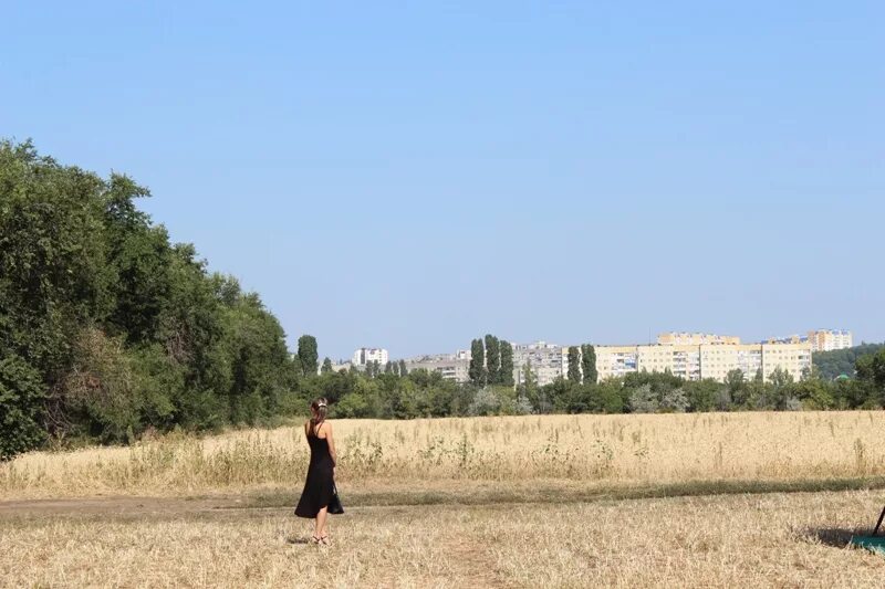 Саратов опытные поля НИИ Юго Восток. Фото поля НИИ Юго Востока Саратов. Парк Юго Восток в Саратове. Поля Юго Востока застроют Саратов.