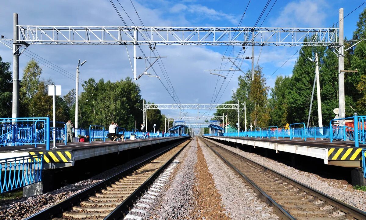 платформа белоостров. ланская белоостров. станция белоостров санкт-петербург. ланская белоостров. ланская белоостров.