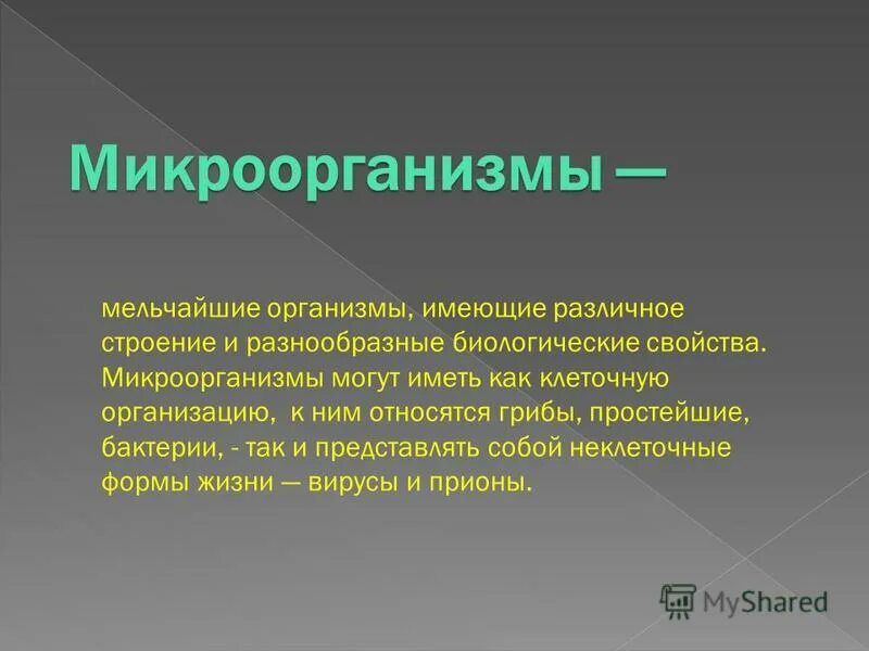 изоферменты это. биохимия доклад. биохимия доклад. лейкоциты выполняют функцию. биохимия открытия.
