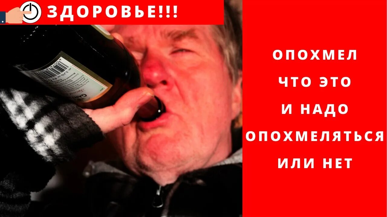 Картинки с похмелья смешные. Неправильное похмелье ведет к длительному запою. Открытка похмелье юмор. Опохмелиться или нет. Не болей с похмелья.