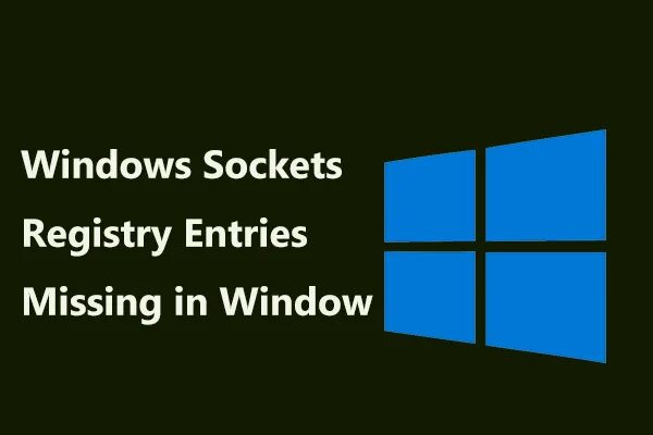 Windows Sockets. Winsock. Сокеты виндовс