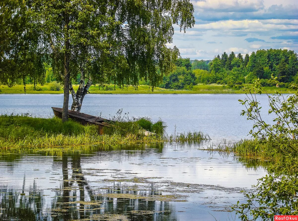 Костромские реки и озера. Кострома природа Кострома. Озеро Нерехта Костромской области. Кострома природа Базанков. Кострома пейзажи.