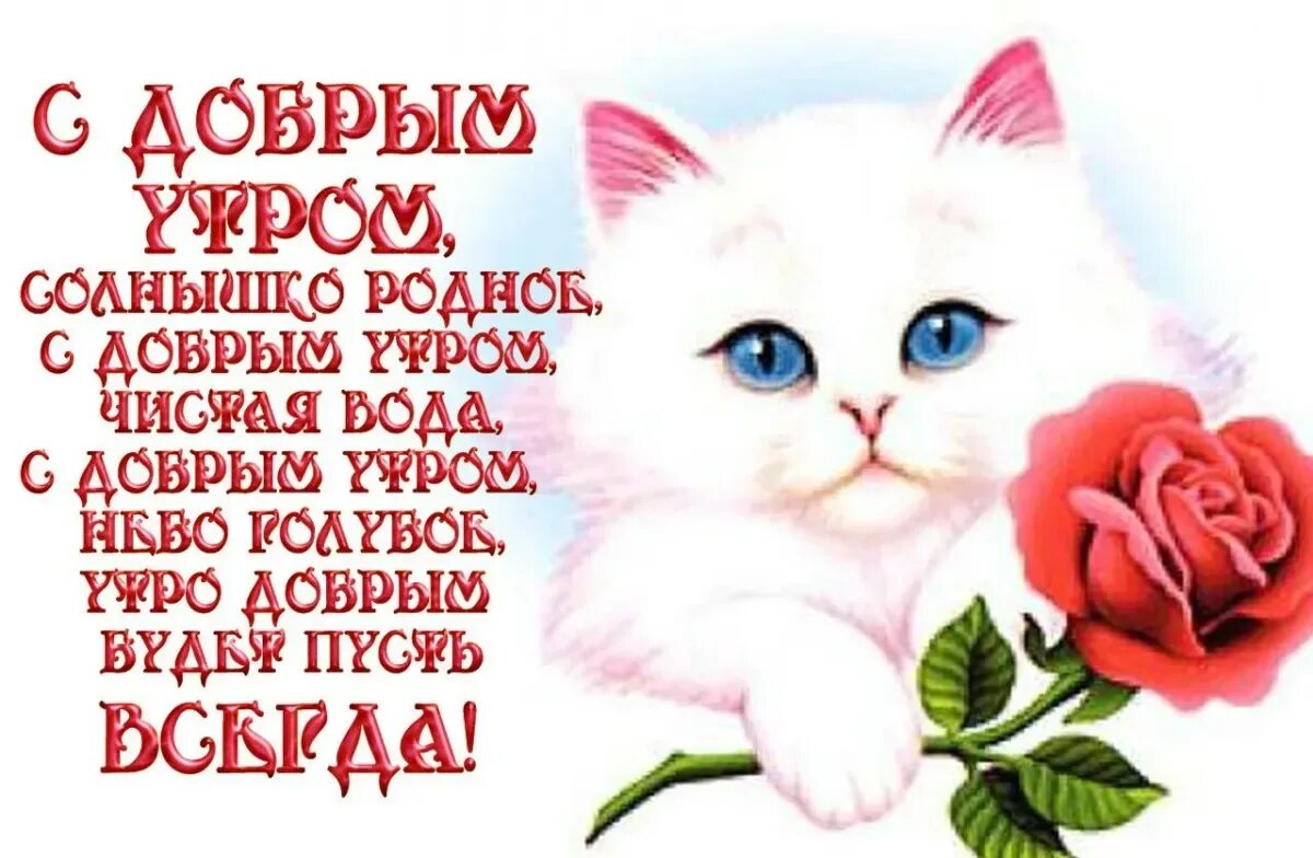С добрым утром женщине стихи с картинками. С добрым утром любимая стихи. доброе утро любимая стихи. стишок с добрым утром любимой. красивые стихи с добрым утром девушке.