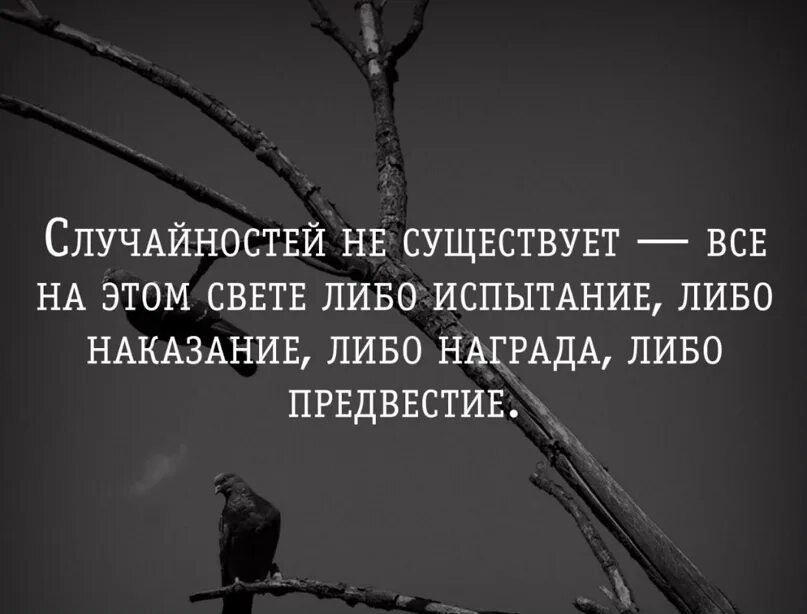 Жизнь стечение обстоятельств. Случайностей не бывает цитата. Случайности не существует цитаты. Случайности в жизни. Цитаты про случайность.