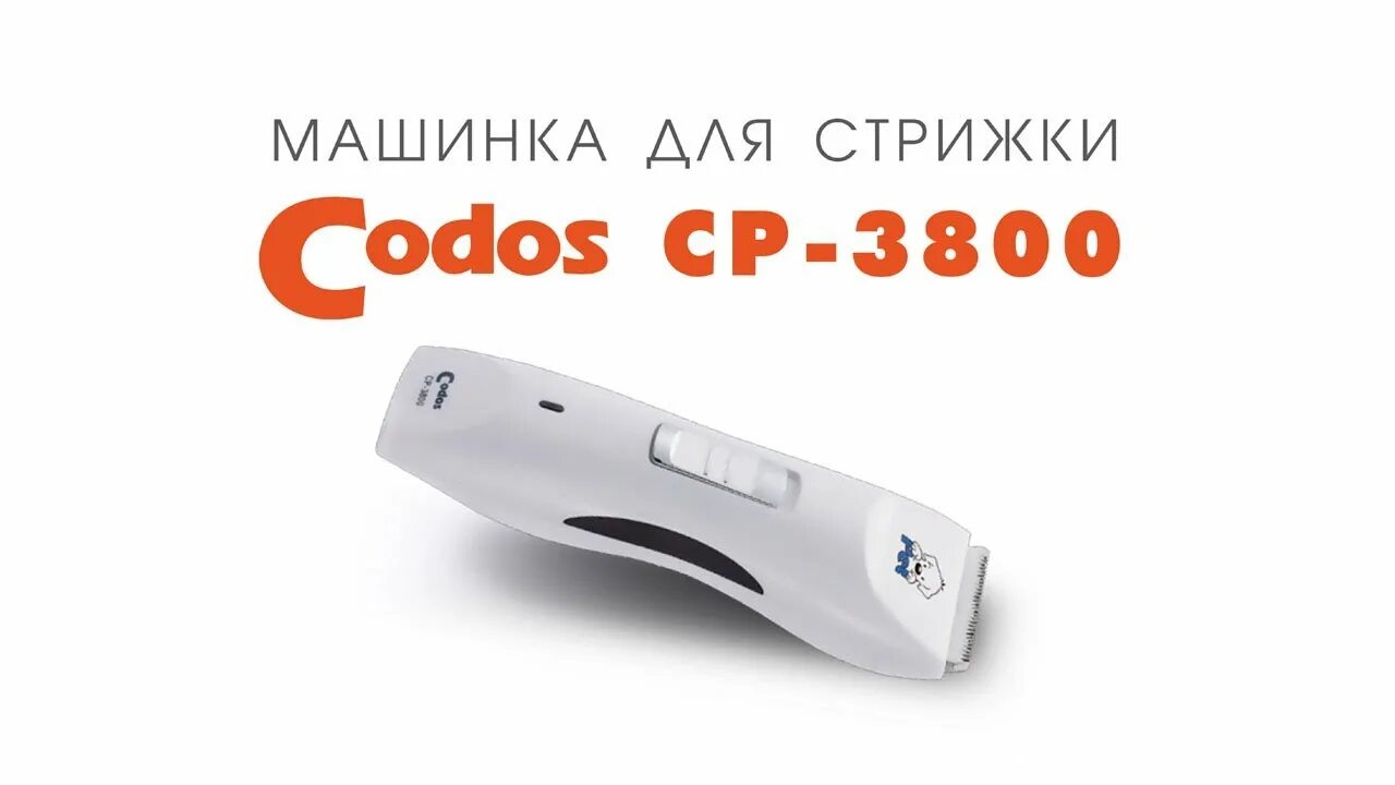 Машинка для шерсти собак. Машинка codos kp3000. Машинка для стрижки codos CP-8000. Машинка для стрижки кошек codos. Машинка для стрижки кроликов.