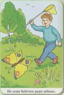4 желания. Мальчик ловит бабочку. Ловить бабочек. Мальчик ловит сачком. Ловить бабочек сачком.