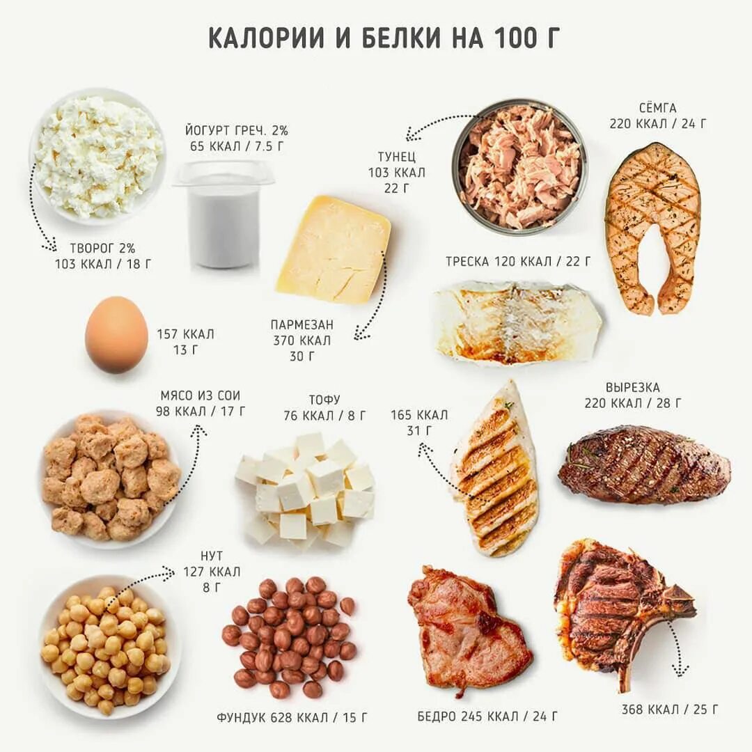 Белок что нужно кушать. В каких продуктах содержится 20 грамм белка. Белковые продукты. Источники белка. Продукты богатые белками.