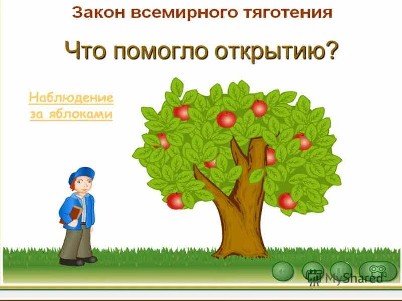 Закон Всемирного тяготения яблоко. Закон Всемирного тяготения рисунок. Всемирная сила тяготения яблоко. Закон Всемирного тяготения изображение яблоко. Всемирное тяготение 9 класс