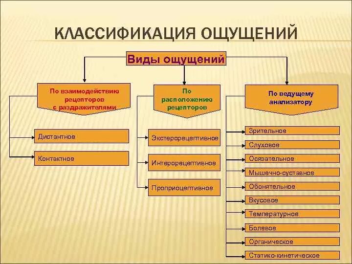 3 класса ощущений. Схема классификация ощущений в психологии. Классификация ощущений по расположению рецепторов. Классификация видов ощущений в психологии кратко. Виды ощущений по взаимодействию рецепторов с раздражителями.