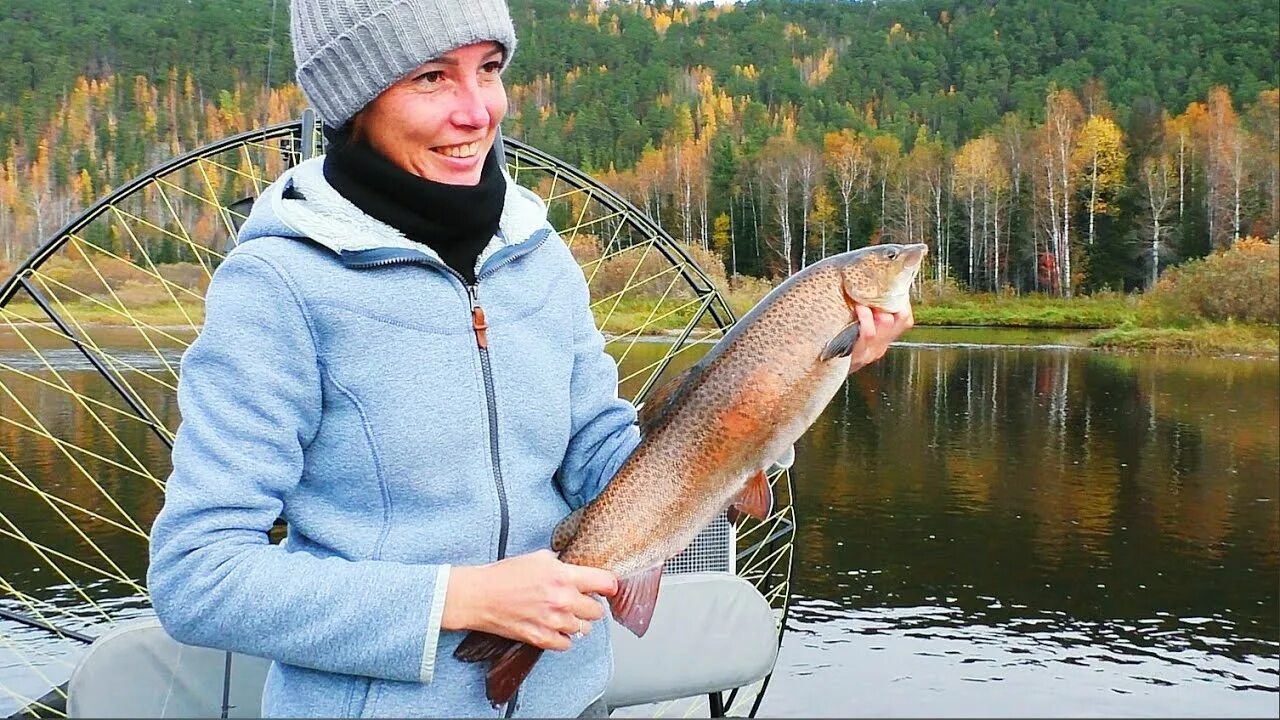 Ловля в сибири. Хариус Енисей. Таежный хариус. Рыбалка на таежных реках Сибири. Рыбалка в тайге.