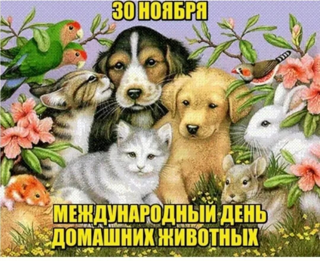 День домашних животных 2024. День домашних животных. Всемирный день домашних животных 30 ноября. День домашних животных открытки. День домашних животных 30 ноября картинки.