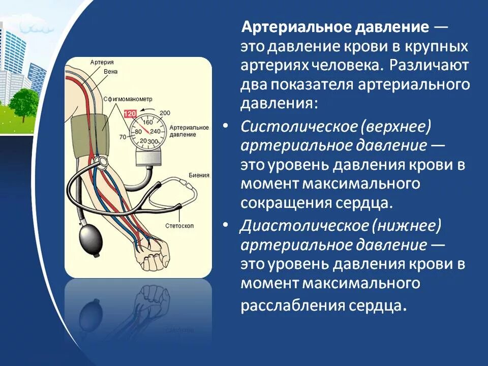 Артериальнооедавление. Артириально ЕДАВЛЕНИЕ. Кровяное давление. Артериальное кровяное давление.