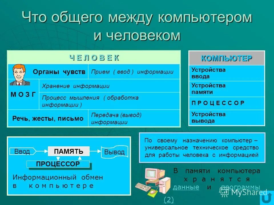Назначение основные характеристики интерфейс устройств персонального компьютера. Назначение основные характеристики интерфейс устройств персонального компьютера