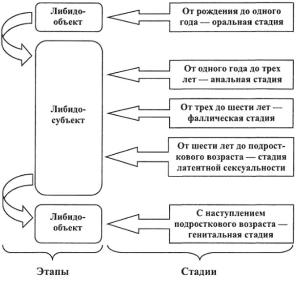 Этапы развития полового влечения. Этапы развития либидо. Стадии формирования либидо. Этапы формирования полового влечения.