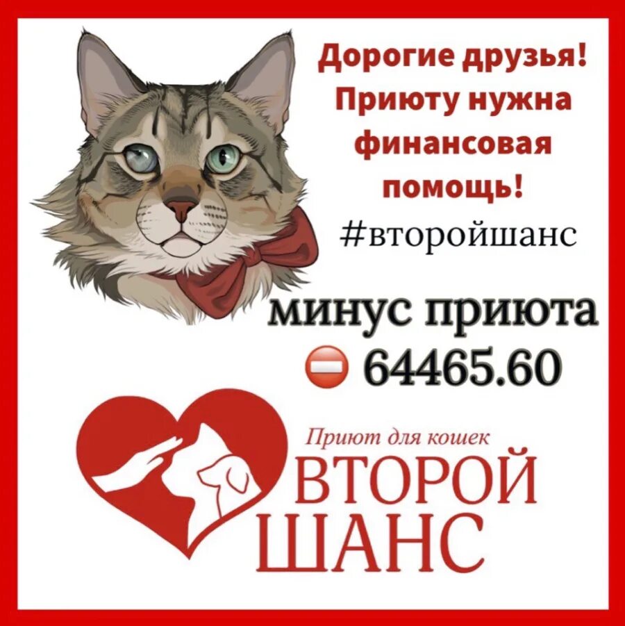 помощь животным номер. пожертвование приюту для животных баннер. помощь животным номер. эмблема форда помощи животным. помощь животным номер.