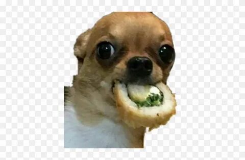 Dogs make