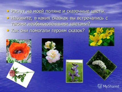Какие цветы из сказок