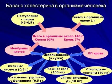 Роль холестерина в организме