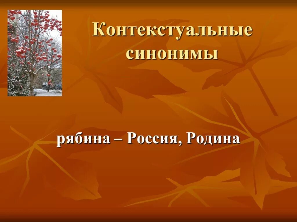 Рябину рубили зорькою Цветаева. Стихотворение рубили рябину. Рябину рубили Цветаева. Рябина синоним. Прилагательное к слову рябина