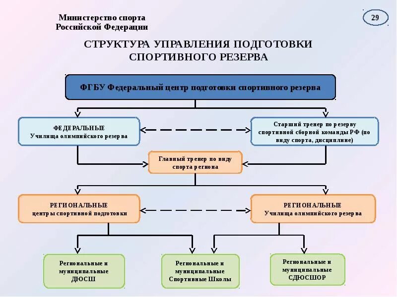 Организации спортивной подготовки в российской федерации. Структура спортивной команды. Структура Федерации спорта. Структура спортивного коллектива. Формальная структура спортивной команды.