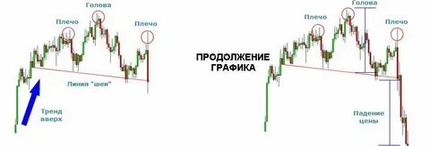 Голова два плеча