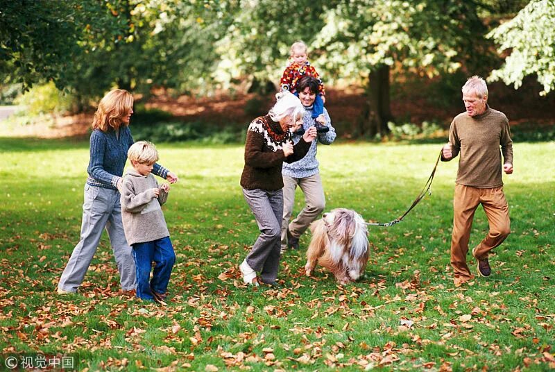 Go for a walk. Go for a walk Park. A Family go for a walk. People go for a walk.