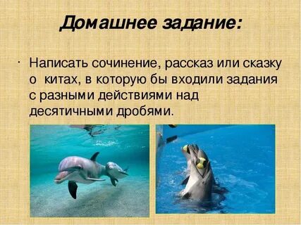 Сочинение дельфин