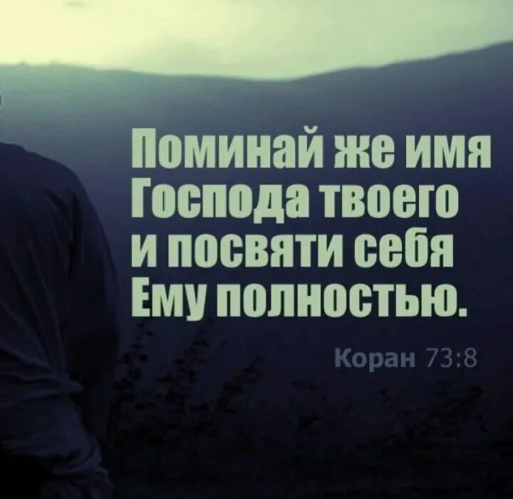 С тем что он полностью