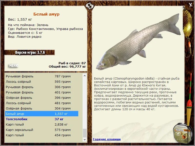 где можно поймать рыбу. русская рыбалка 3 7 6 рыбхоз константиново карп. русская рыбалка западный затон щука. рыбхоз константиново. рыбхоз константиново русская рыбалка.